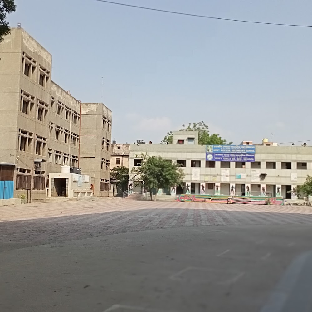 Govt Girls/Boys Sr Sec School